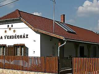 Kosa Vendeghaz Gelenes