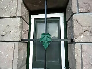 Pasti Pincek Es Pihenohazak Cserepfalu