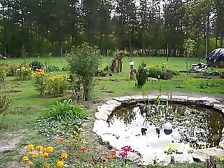 Kecskefarm Tapioszentmarton