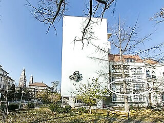 Hip Riverview Bestern Szeged