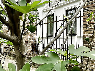 Wagner Villa 902 Budapest