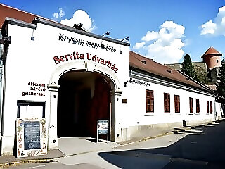 Servita Udvarhaz Eger