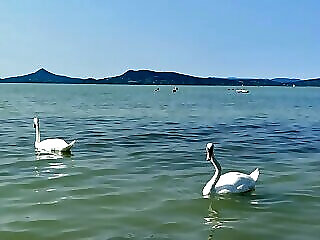 Beachfront Villa Balaton Fonyod