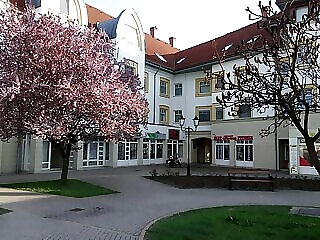 Rakoczi Apartman Sarospatak