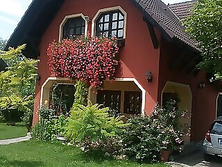 Elizabeth Apartman Siofok