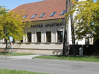Vegvar Deluxe Apartman Gyula
