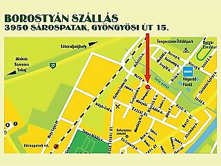 Borostyan Szallas Sarospatak