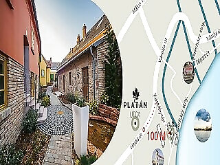 Platan Udvarhaz Tata