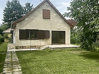 Dono Apartman Haz Gardony