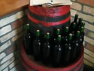 Merlot Pinceszallo Vendeghaz Hajos
