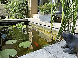 Margareta Garden Spa Eger