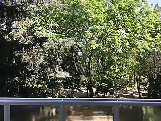 Vicente Apartman Eger