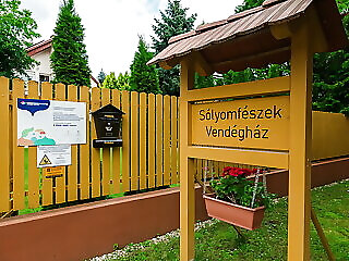 Solyomfeszek Vendeghaz Nagymaros