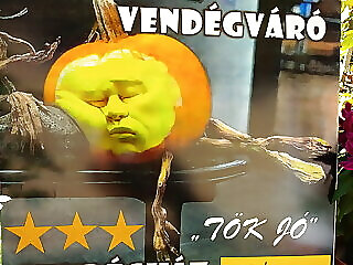 Vendegvaro Vendeghaz Hodmezovasarhely