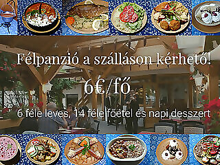 Topark Panzio Heviz