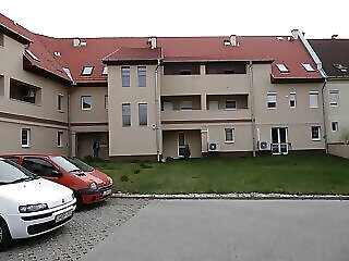 Stefi Apartman Eger