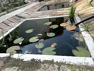 Viki Apartmanhaz Dorog
