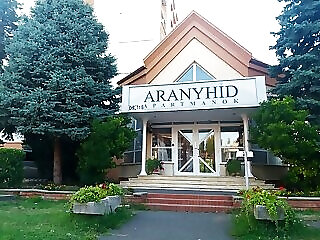 Vizparti Sas Apartman Siofok