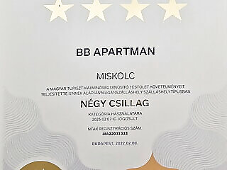 Belvarosi Bb Apartman****miskolc