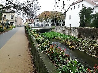 Tulip Family Apartment Eger