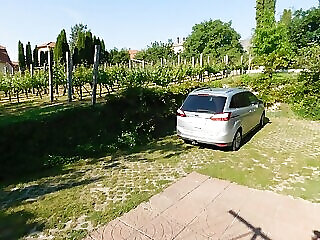 Xxl Apartman Zalakaros
