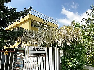 Viktoria Apartman Mezokovesd