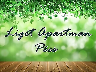 Liget Apartman Pecs