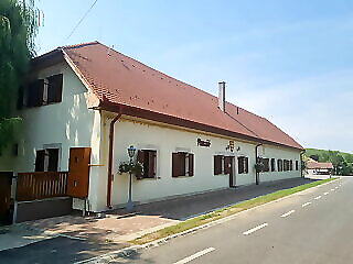 Toros Panzio Szabolcs