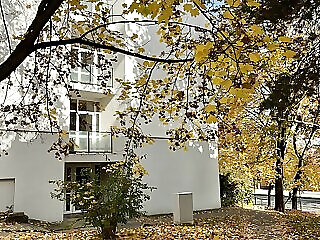 Oazis Apartman Veszprem