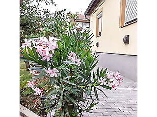 Leander Vendeghaz Tokaj