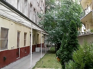 Erik Apartman Budapest