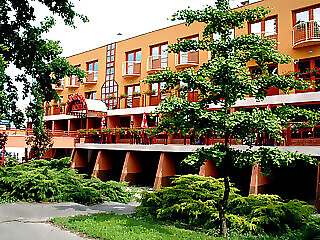Hotel Minerva Mosonmagyarovar