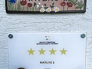 Nature 1 Apartman**** Heviz
