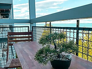 Vanilia Apartman Siofok