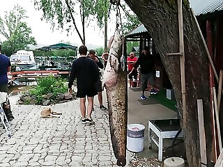 Ifjusag 68 Apartman Tiszafured