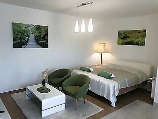 Borbarat Apartman Villany