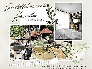 Hotel Barbizon Nyiregyhaza