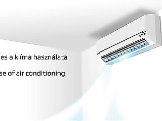 Rozsika Vendeghaz Hajduszoboszlo