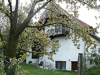 Nefelejcs Apartman Fertohomok