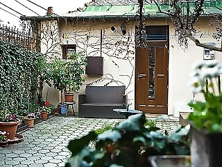 Vadszolo Apartman Veszprem