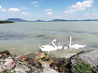 Topart Apartman Fonyod