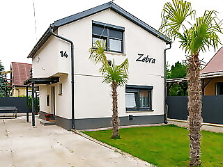 Zebra Apartman Mezokovesd