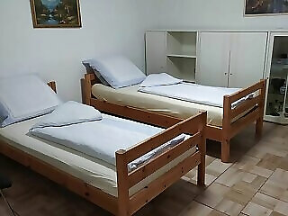 Meggyfa Vendeghaz Korosszakal