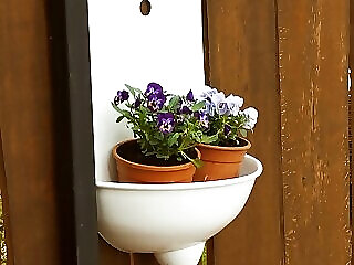 Bobita Apartmanhaz Szilvasvarad