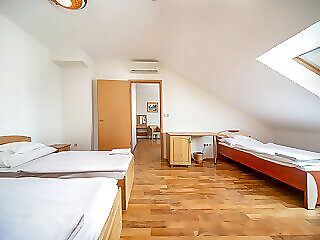 Nefelejcs Hotel Mezokovesd