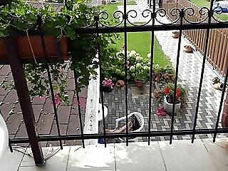 Balatoniapartmanhaz Siofok