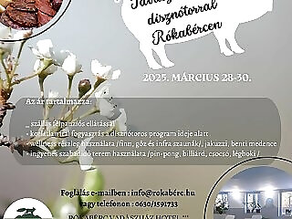 Rokaberc Vadaszhaz Hotel Erdobenye