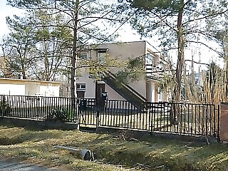 Mimoza Apartman Zamardi