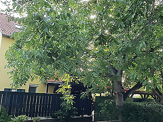Sunshine Apartman Velence