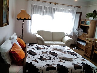 Ilona Apartman Badacsonytomaj szállás